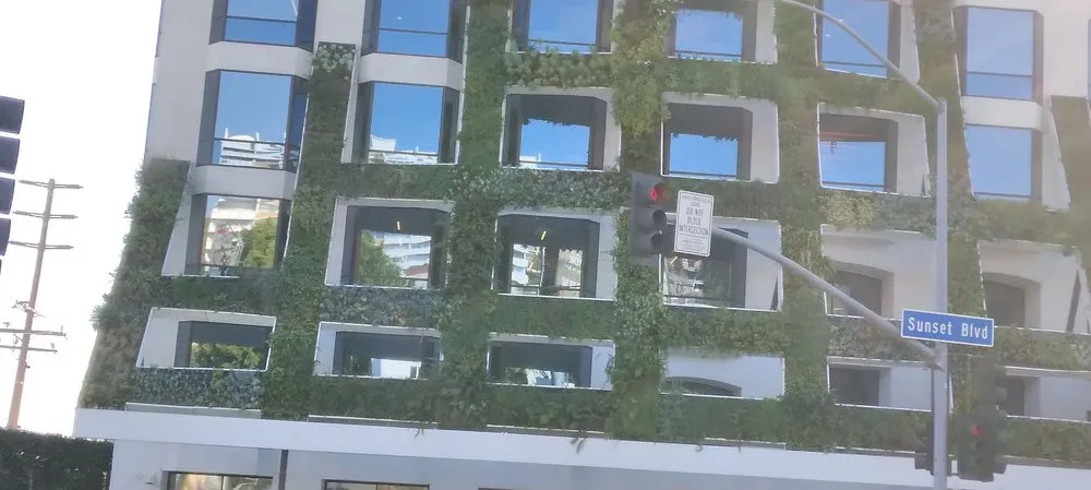 Custom residential landscaping experts serving Inglewood, CA - Gonzalo and Sons