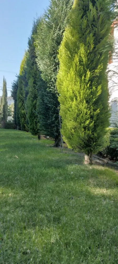 Reliable outdoor landscaping experts serving Inglewood, CA - Gonzalo and Sons