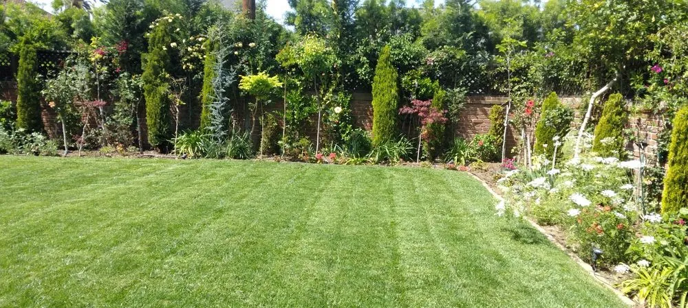 Local garden landscaping near you in Inglewood, CA by Gonzalo and Sons