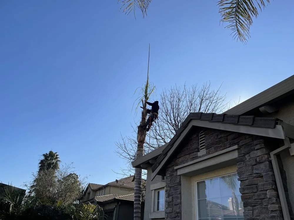 Custom residential landscaping in Oakley, CA - Gonzalo Landscaping