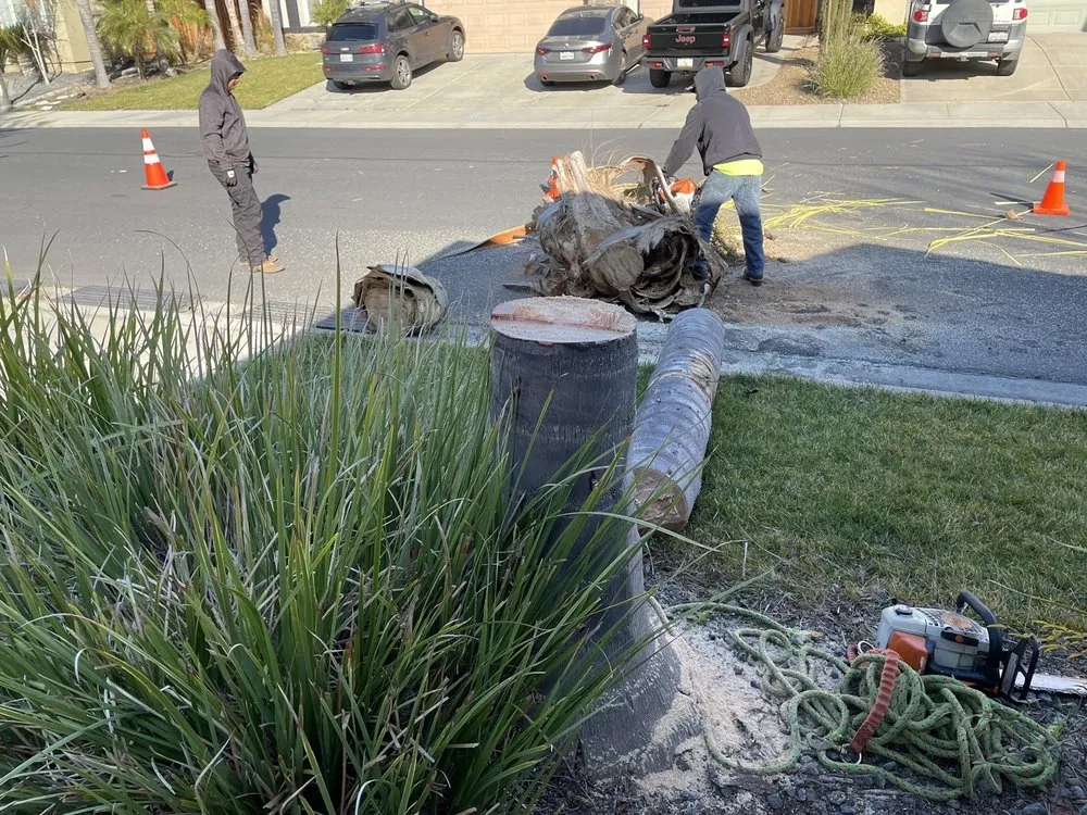 Reliable yard maintenance in Oakley, CA by Gonzalo Landscaping