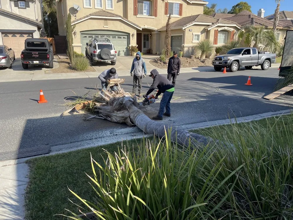 Trusted yard cleanup service for year-round maintenance in Oakley, CA by Gonzalo Landscaping