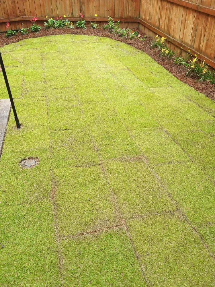 Reliable garden landscaping experts serving Roswell, GA - Gonzalo Landscaping