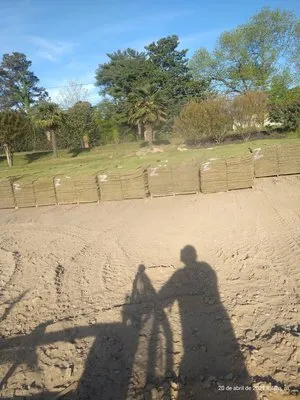 Gonzalo Landscaping Logo