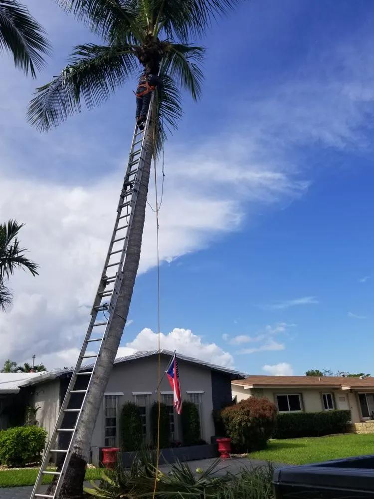 Expert garden landscaping in Davie, FL by Gonzalos Landscaping Plus