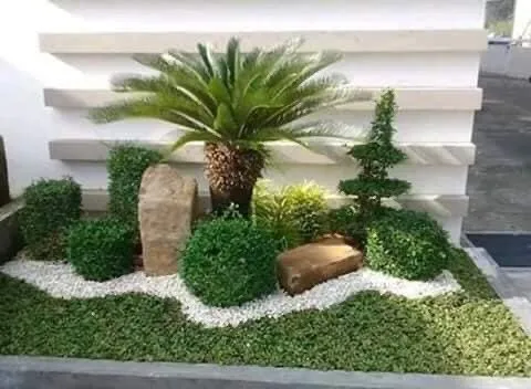 Reliable yard cleanup service in Davie, FL - Gonzalos Landscaping Plus