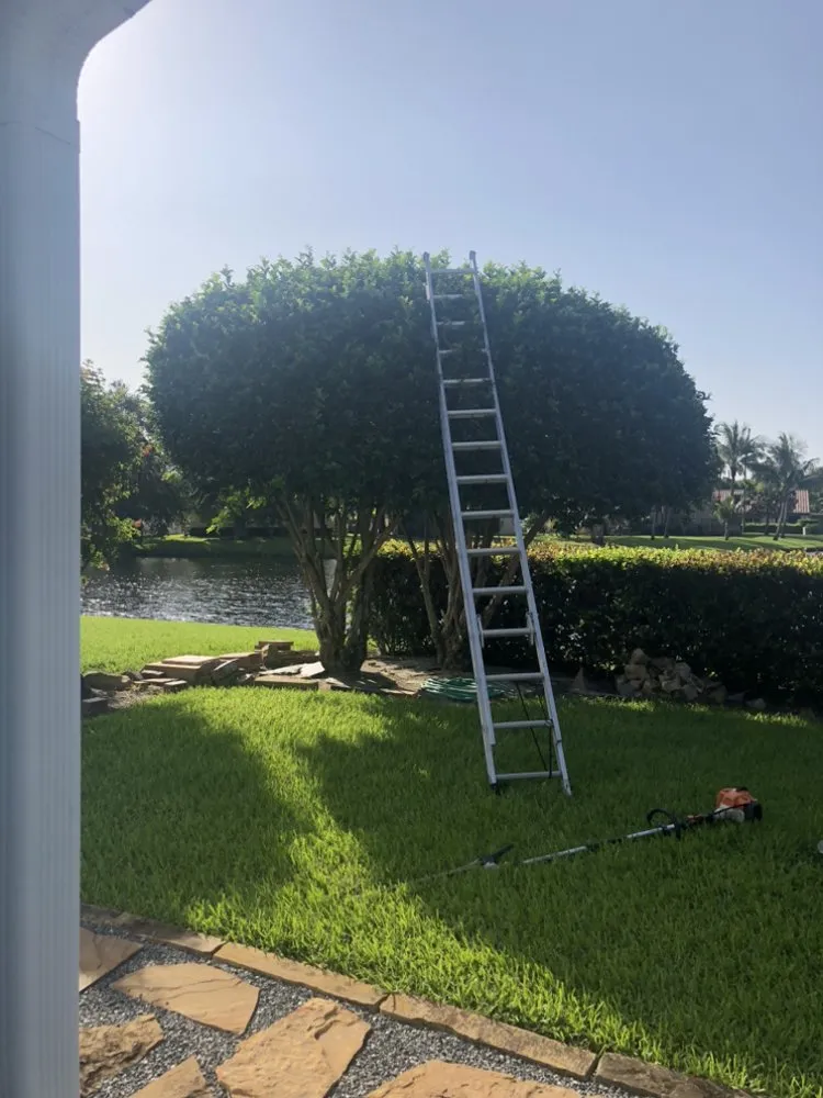 Reliable garden landscaping for homes in Lantana, FL by Gonzalo’s Lawn Services