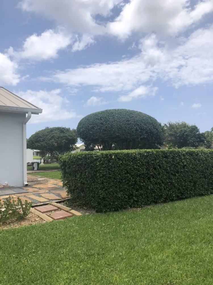 Affordable lawn mowing service in Lantana, FL by Gonzalo’s Lawn Services