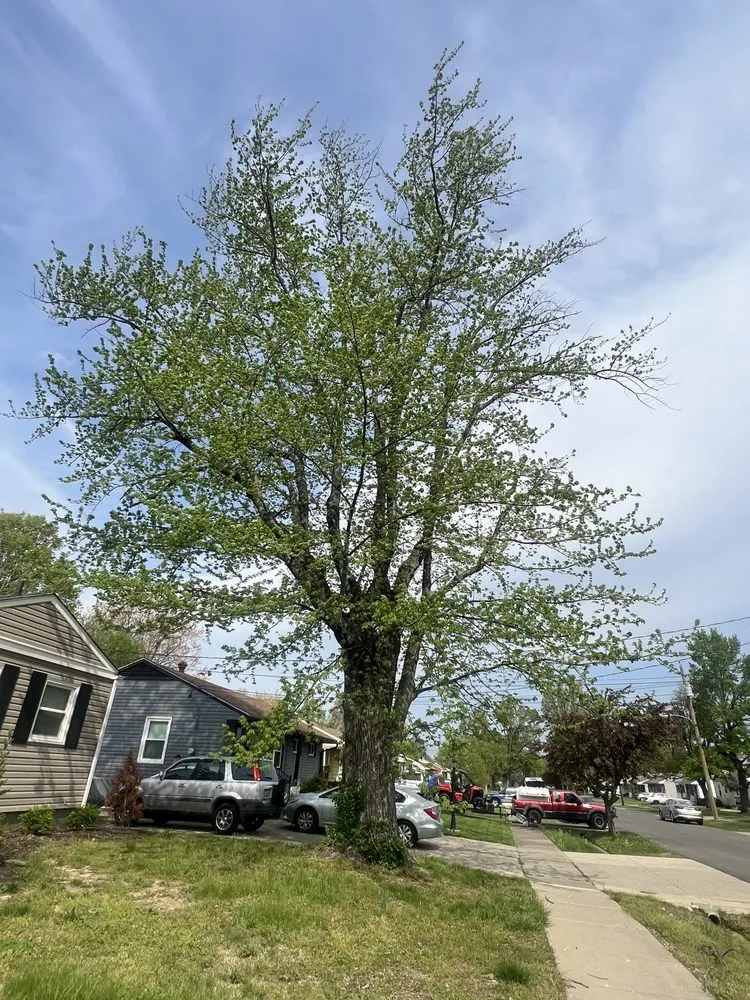 Top-rated residential landscaping for homes in Louisville, KY by González Full Property Maintenance