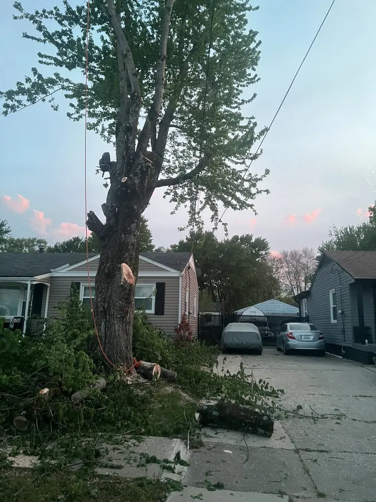 Affordable garden landscaping for residential properties in Louisville, KY by González Full Property Maintenance