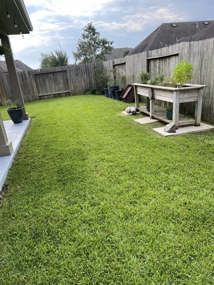 Custom yard cleanup service near you in Brookshire, TX by González Landscaping
