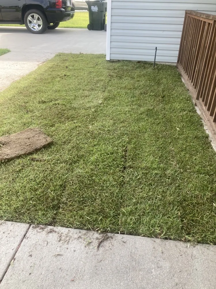 Professional lawn care service in Valdosta, GA - González