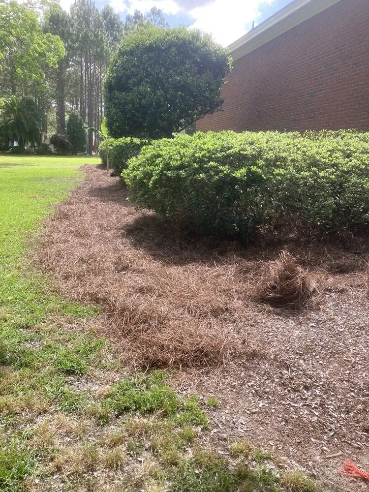 Local yard maintenance for residential properties across Valdosta, GA - González