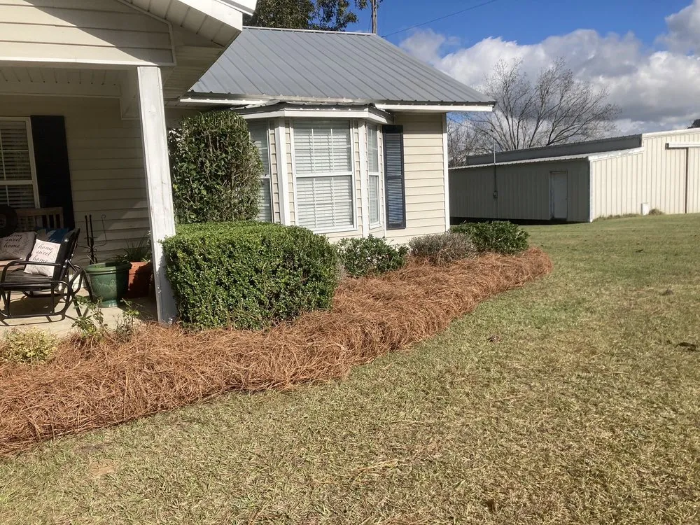 Top-rated yard maintenance in Valdosta, GA by González