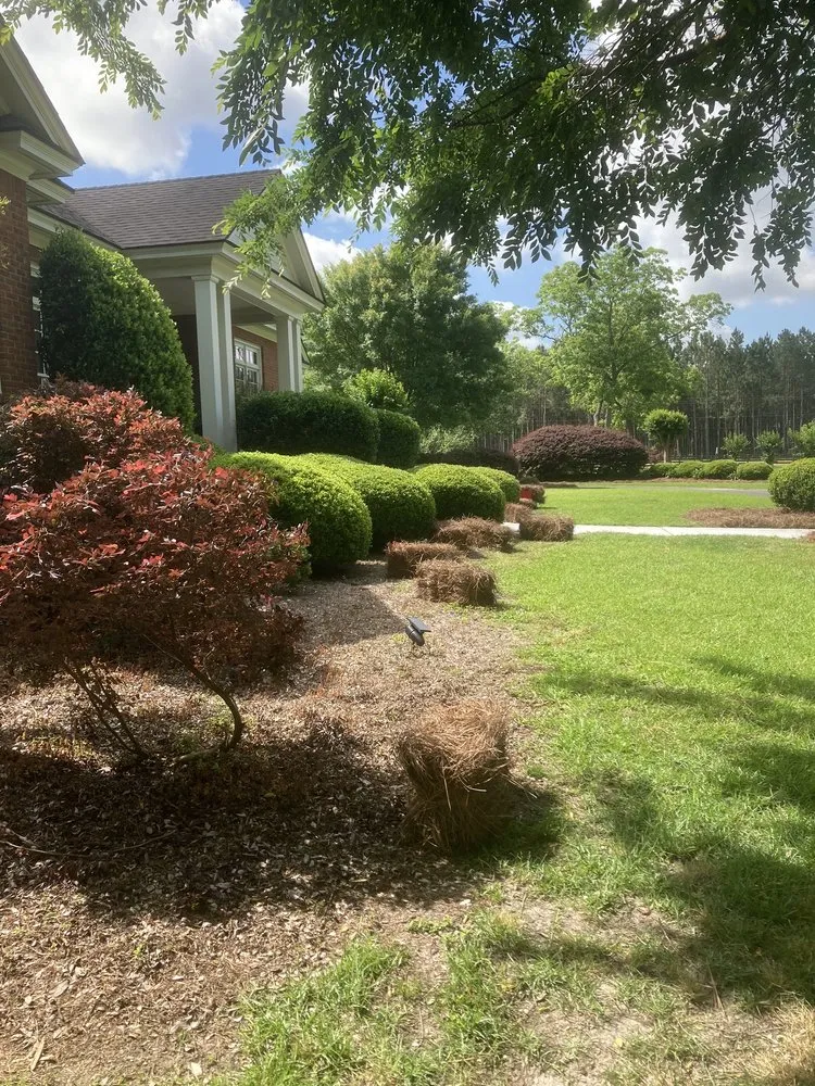 Expert garden landscaping near you across Valdosta, GA - González