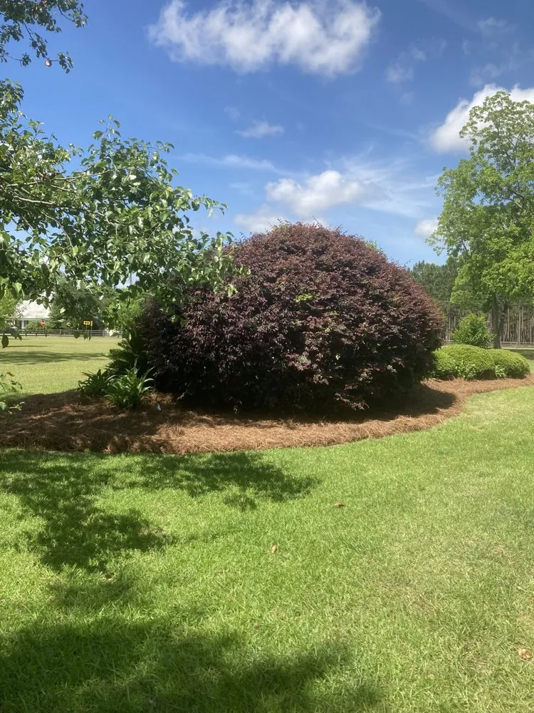 Trusted residential landscaping experts serving Valdosta, GA - González