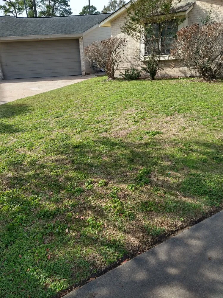 Professional yard maintenance in Houston, TX - Gonzo's Landscaping