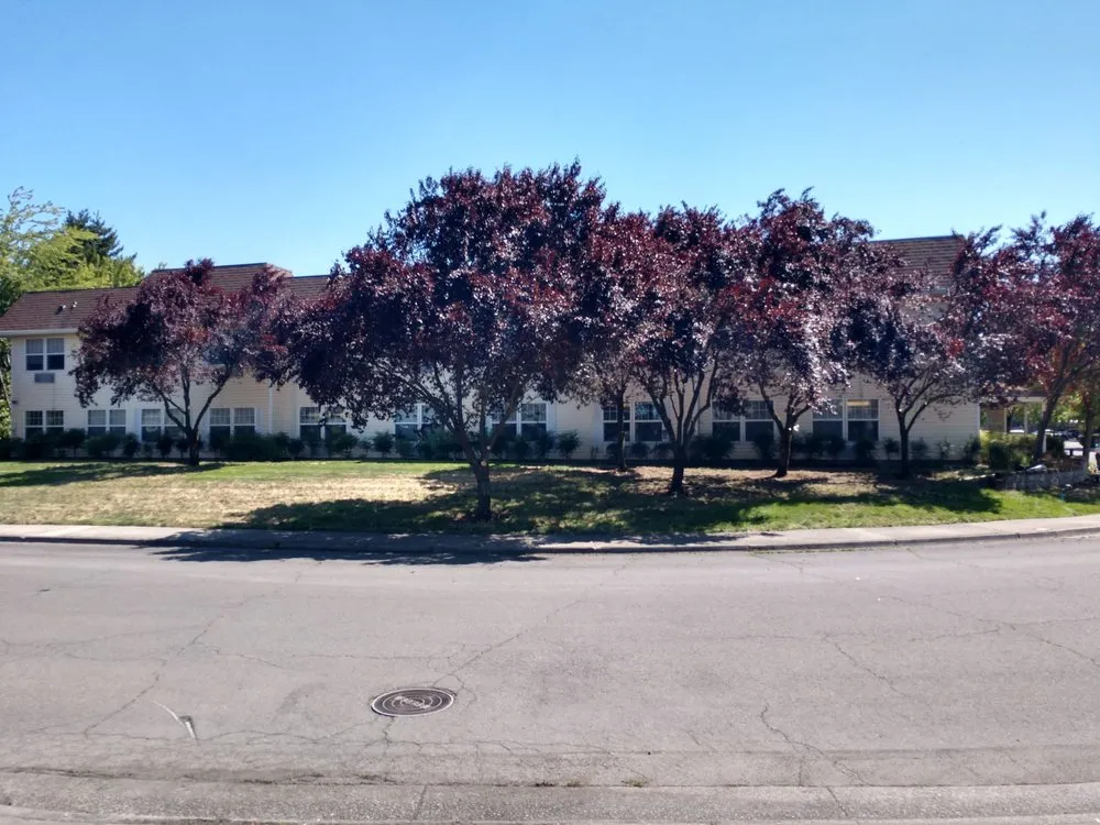 Local landscaping services in Central Point, OR - Good Bloke Tree Care