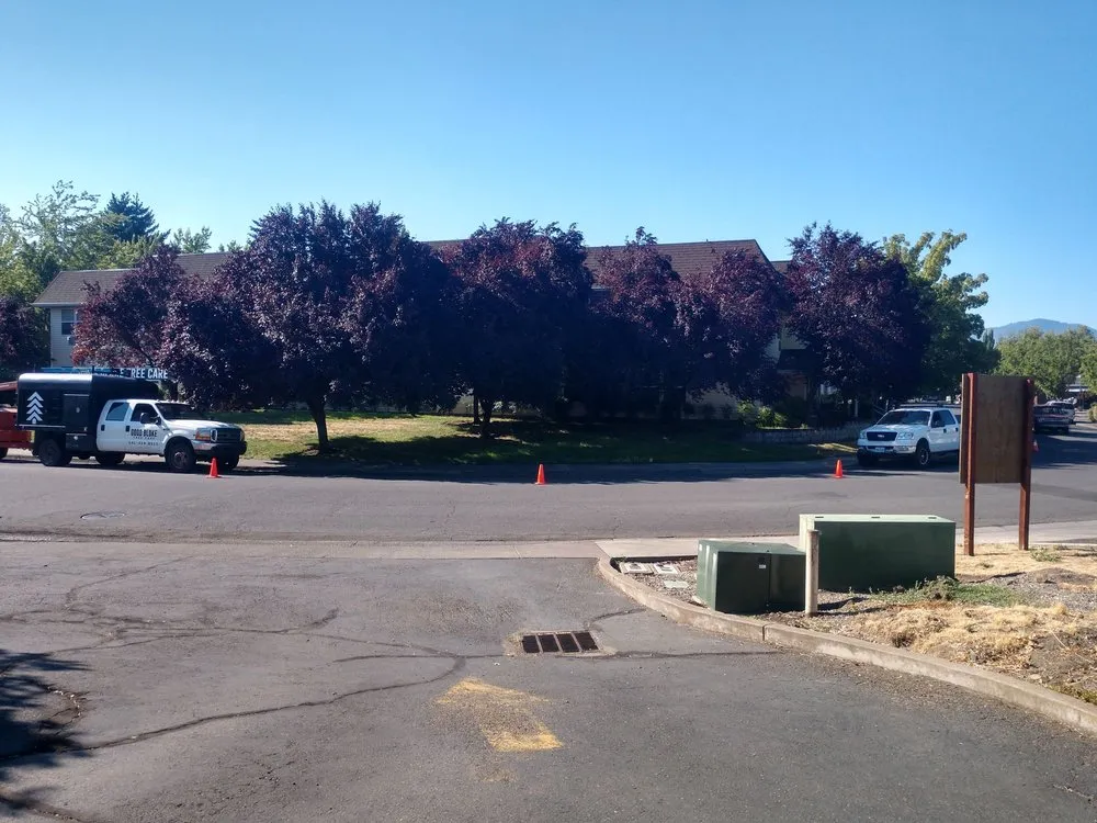 Expert garden landscaping in Central Point, OR by Good Bloke Tree Care