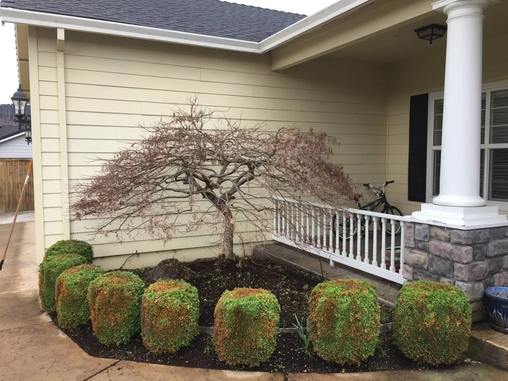 Professional landscape installation for year-round maintenance across Central Point, OR - Good Bloke Tree Care