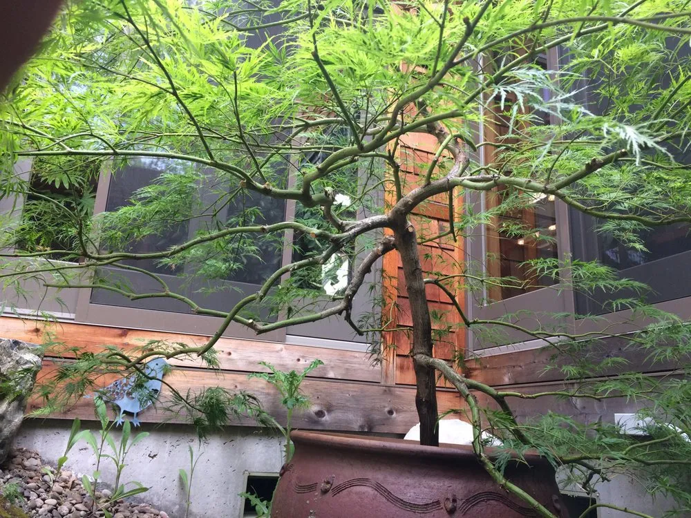 Top-rated lawn care service in Central Point, OR - Good Bloke Tree Care