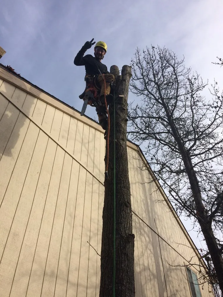 Professional lawn mowing service for year-round maintenance in Central Point, OR by Good Bloke Tree Care