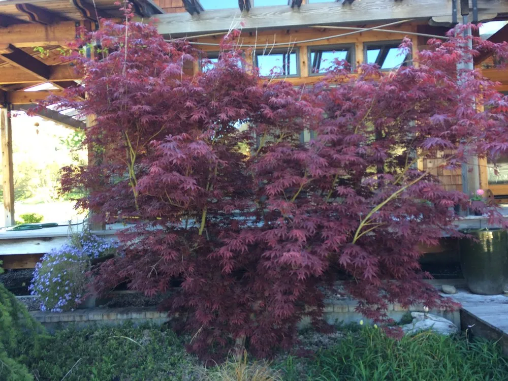 Reliable landscaping services with custom design across Central Point, OR - Good Bloke Tree Care