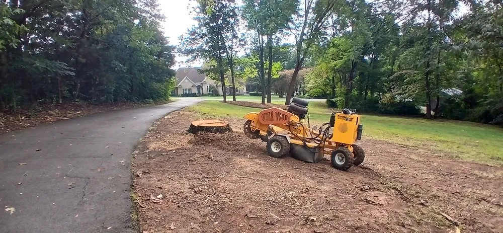 Expert yard cleanup service for outdoor upgrades in Knoxville, TN by Good Boy Handyman