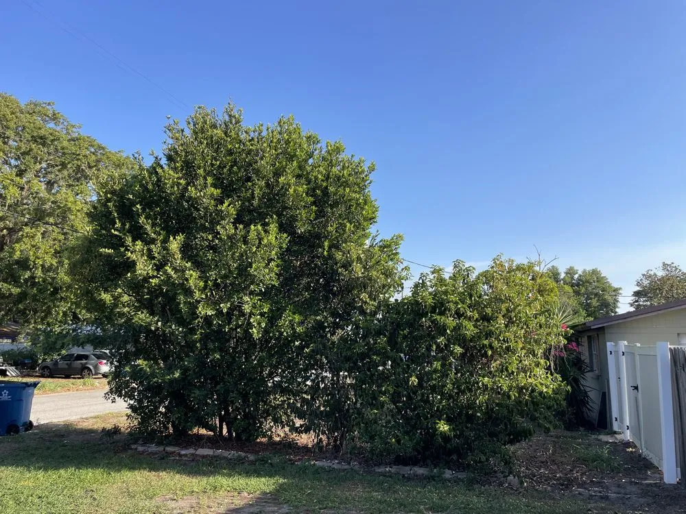 Top-rated landscaping services in Lakeland, FL - Good Day Tractor Services