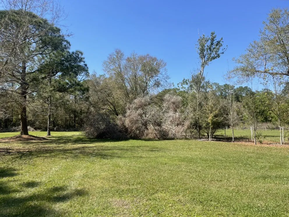 Expert garden landscaping experts serving Lakeland, FL - Good Day Tractor Services