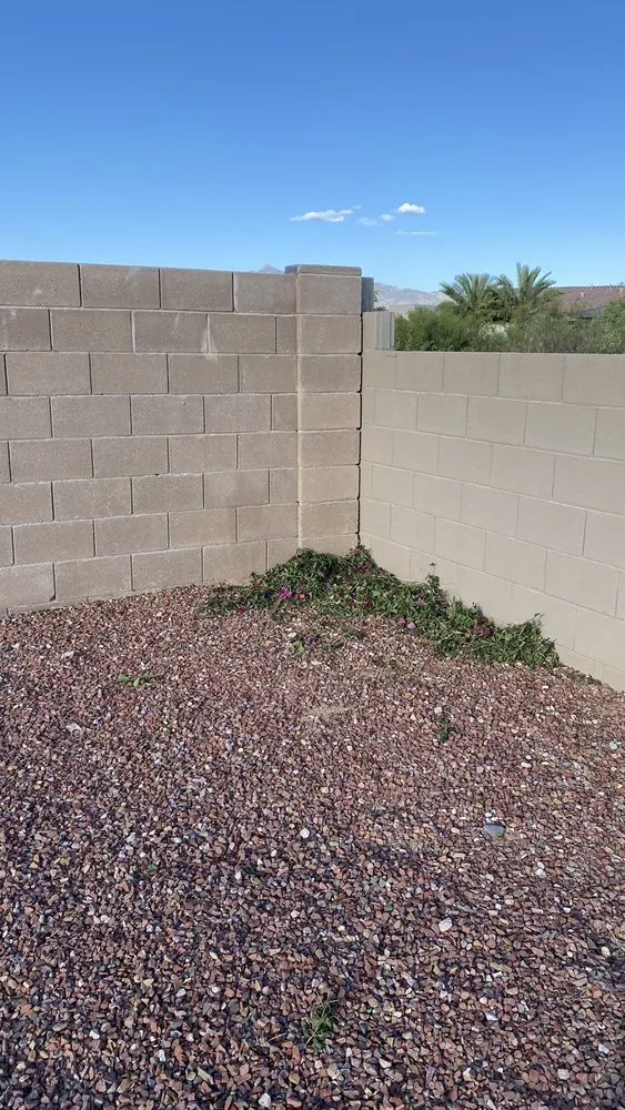 Trusted yard maintenance for year-round maintenance across Tucson, AZ - Good Deal Landscaping
