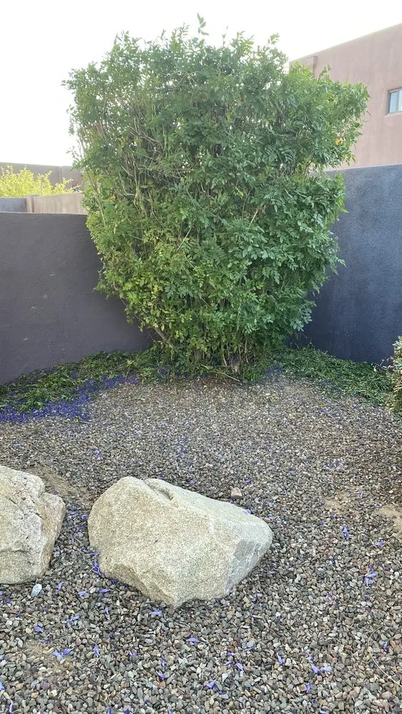 Reliable residential landscaping experts serving Tucson, AZ - Good Deal Landscaping