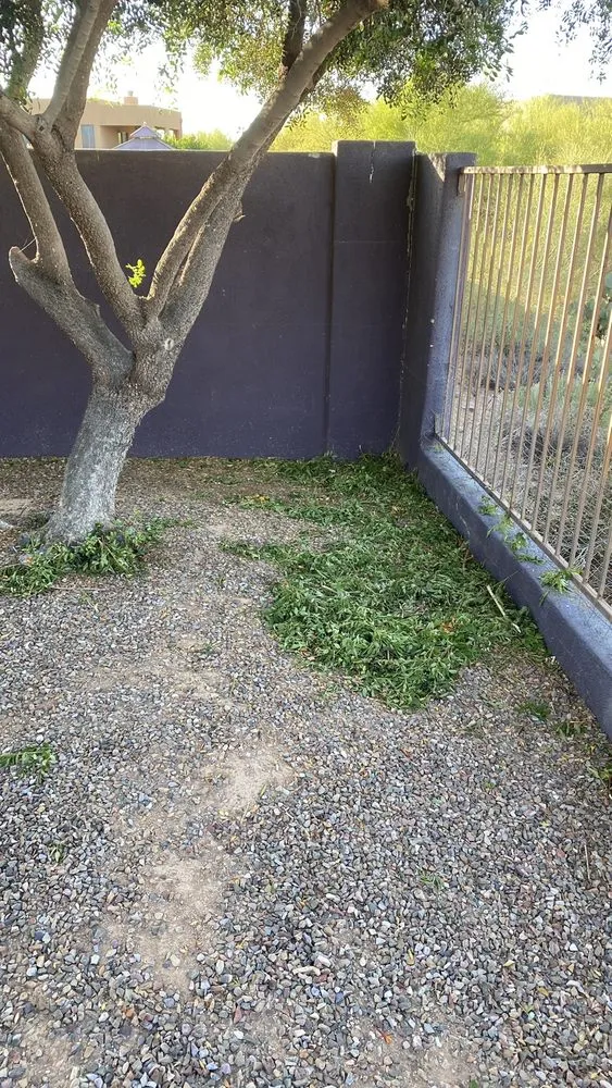 Reliable yard cleanup service in Tucson, AZ - Good Deal Landscaping