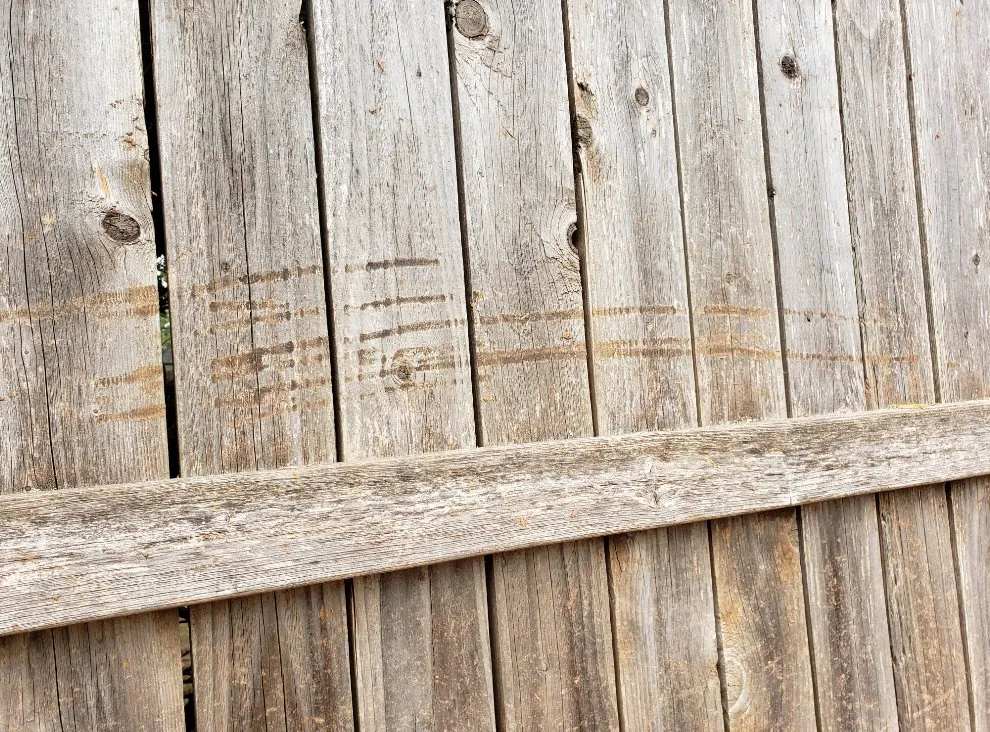 Trusted landscape installation near you across Carteret, NJ - Good Deal Tree Service