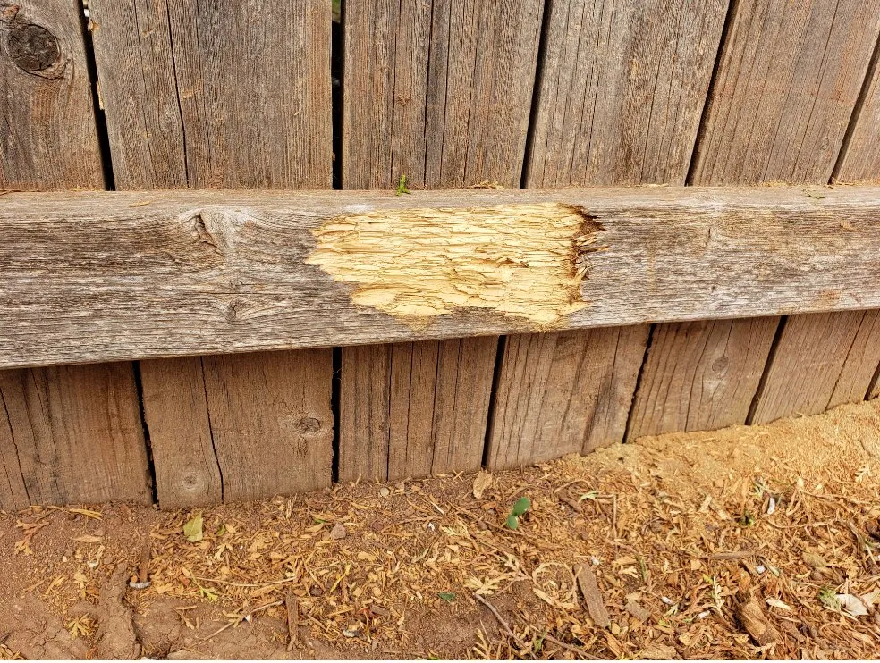 Affordable yard maintenance in Carteret, NJ by Good Deal Tree Service