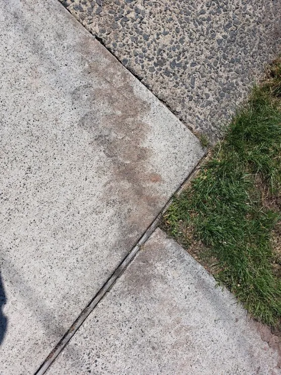 Reliable landscape installation experts serving Carteret, NJ - Good Deal Tree Service