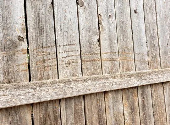 Good Deal Tree Service