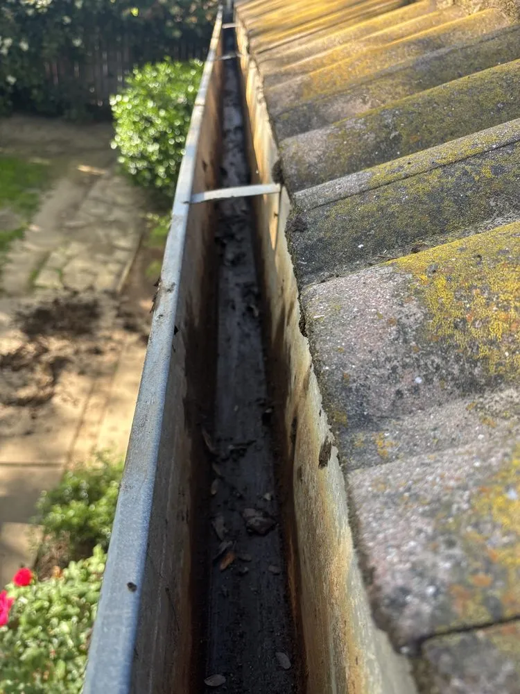 Top-rated landscape installation with custom design in Sacramento, CA by Good Deeds And Services