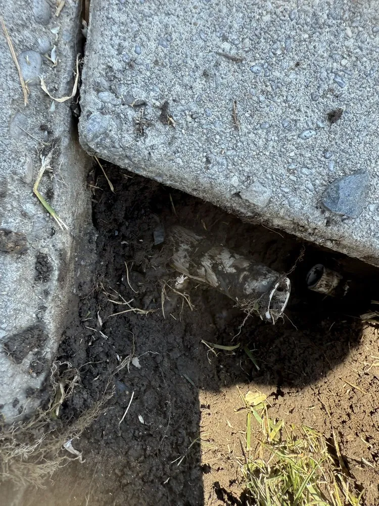 Affordable residential landscaping in Sacramento, CA by Good Deeds And Services