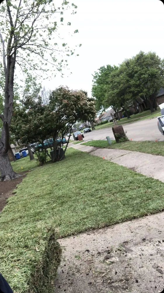Reliable yard cleanup service in Dallas, TX by Good Direction Landscape