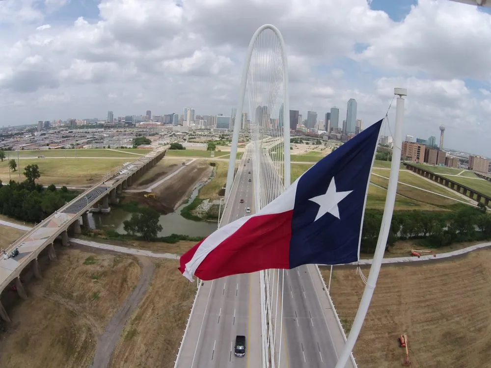 Top-rated yard cleanup service in Dallas, TX by Good Earth