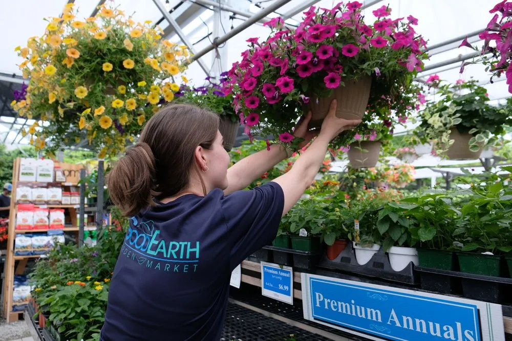 Expert residential landscaping in Potomac, MD by Good Earth Garden Market