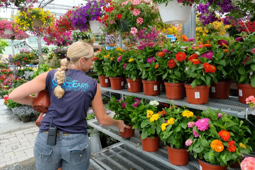 Affordable landscape installation for beautiful yards in Potomac, MD by Good Earth Garden Market
