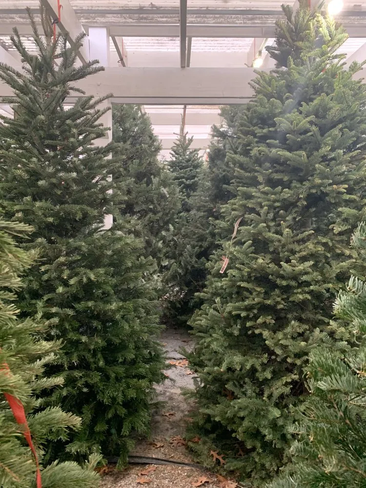 Professional residential landscaping for residential properties in Potomac, MD by Good Earth Garden Market