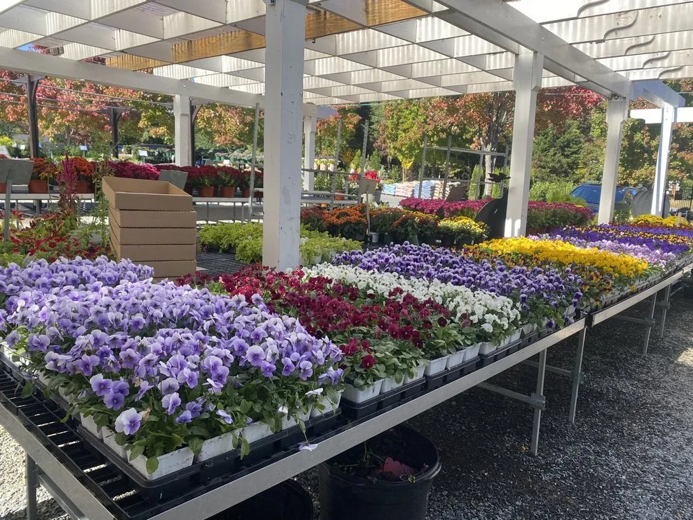 Affordable landscaping services in Potomac, MD by Good Earth Garden Market