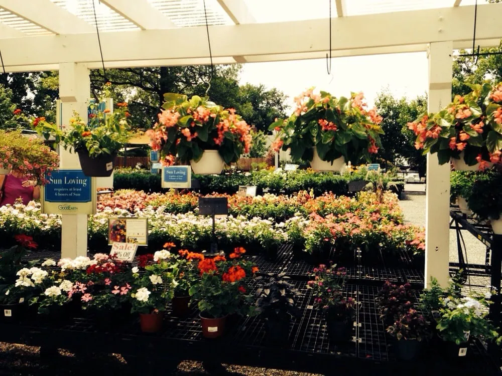 Expert landscape installation for year-round maintenance across Potomac, MD - Good Earth Garden Market