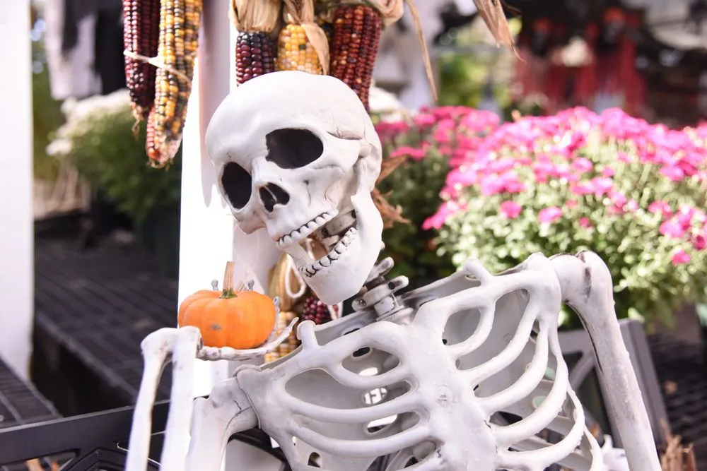 Top-rated yard cleanup service in Potomac, MD - Good Earth Garden Market