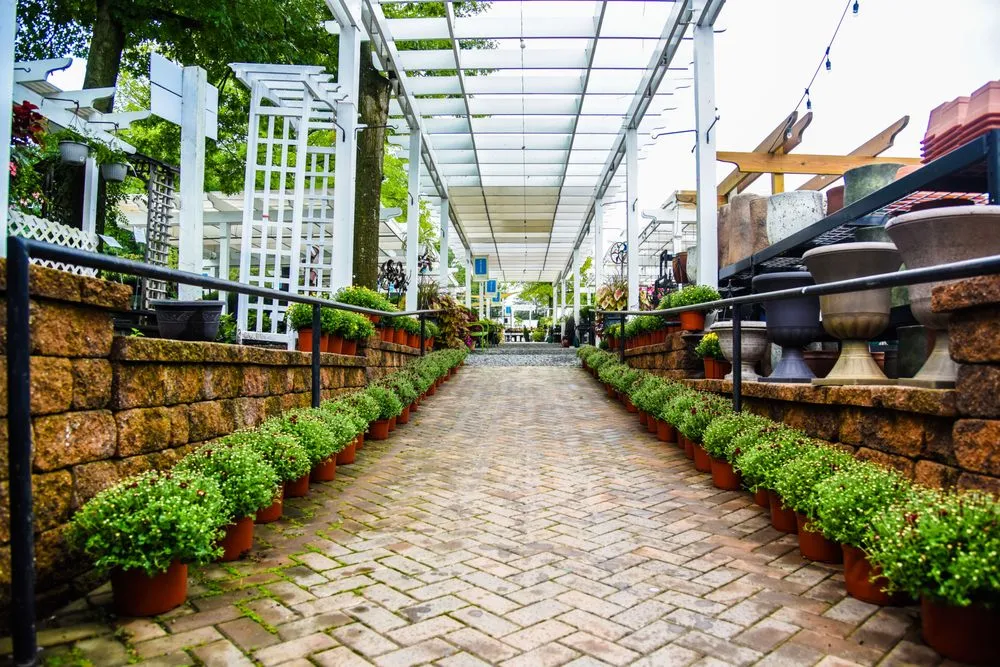 Professional lawn care service for beautiful yards across Potomac, MD - Good Earth Garden Market