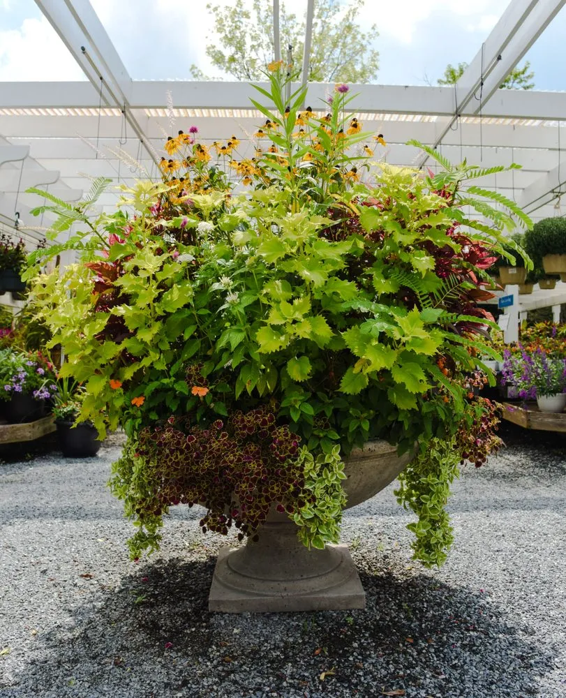 Affordable landscaping services for beautiful yards across Potomac, MD - Good Earth Garden Market