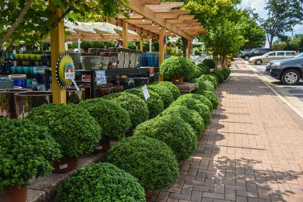 Reliable residential landscaping for homes across Potomac, MD - Good Earth Garden Market